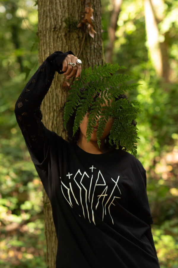 Dissipate - Image 2